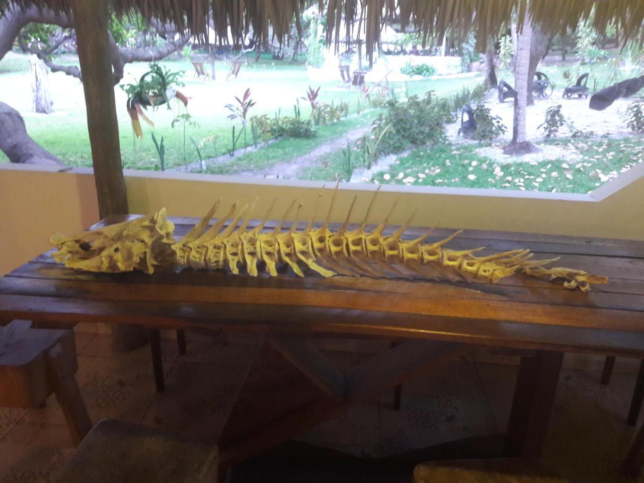 Ciamat Camp Hotel Santo Amaro do Maranhão Kültér fotó